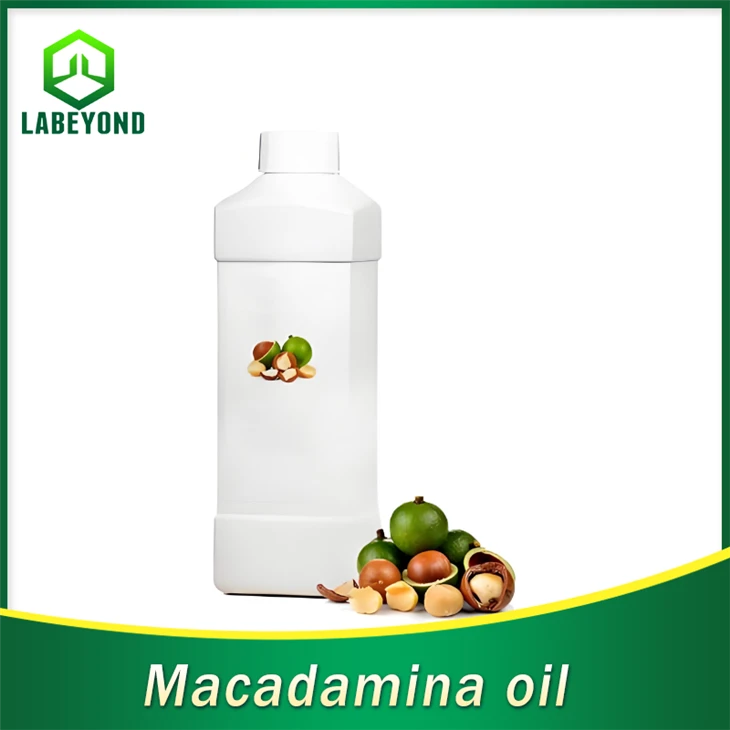 Extrato Natural de Plantas Óleo de Macadâmina